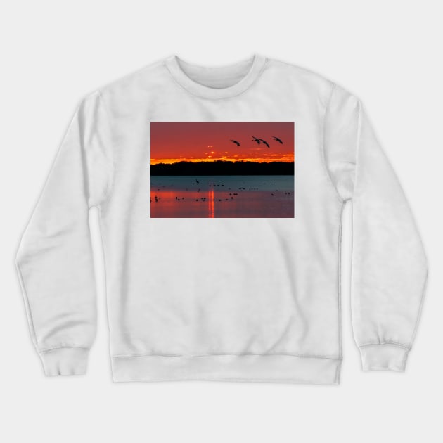 Coming home to roost Crewneck Sweatshirt by joesaladino